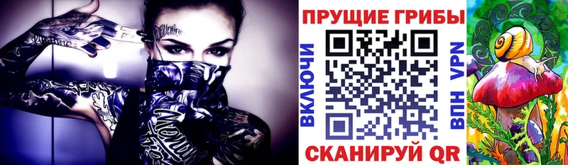Галлюциногенные грибы GOLDEN TEACHER  даркнет сайт  Приозерск 